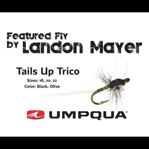 Landon Mayer Tying Clinic