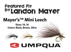 Landon Mayer Tying Clinic